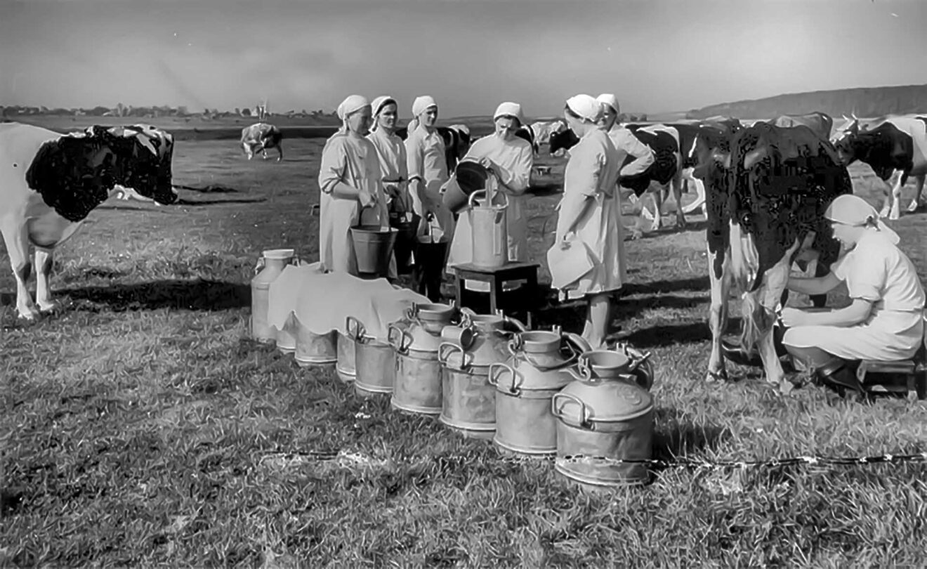Аграрный колхоз «красный Урал», в 1966 г